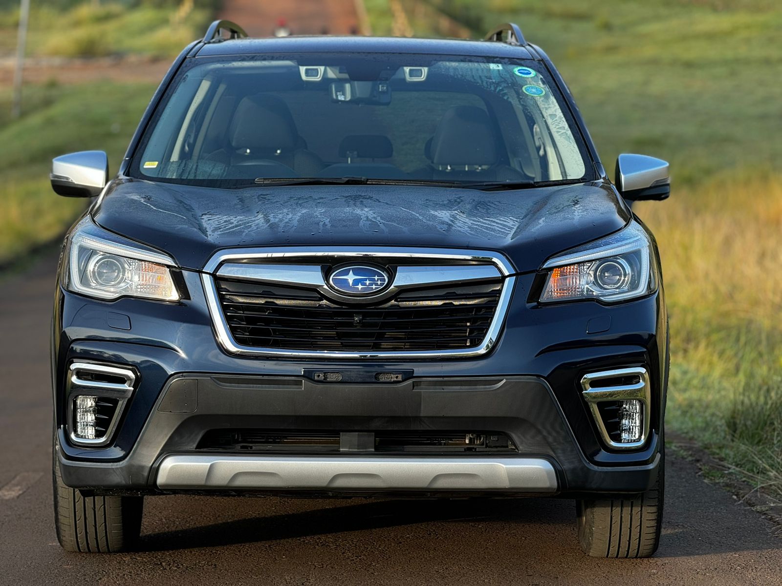 2019 Subaru Forester for sale in Kenya - Front View