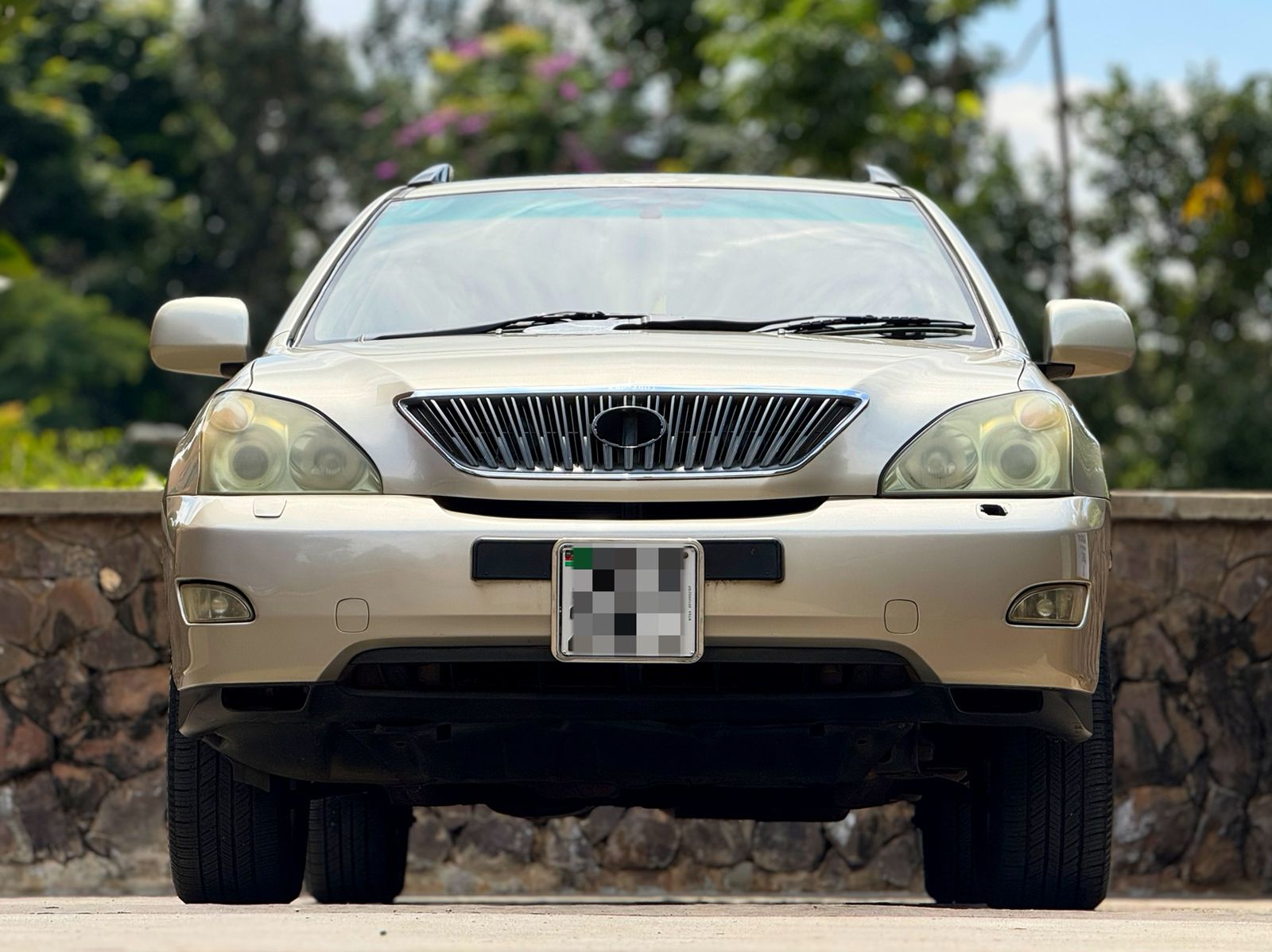 2004 Lexus RX300 for sale in Kenya - Front View